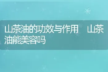 山茶油的功效与作用 山茶油能美容吗