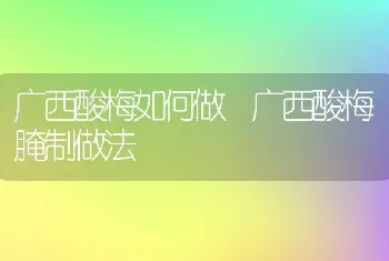 广西酸梅如何做 广西酸梅腌制做法