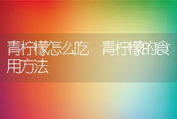 青柠檬怎么吃 青柠檬的食用方法