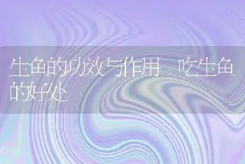 生鱼的功效与作用 吃生鱼的好处