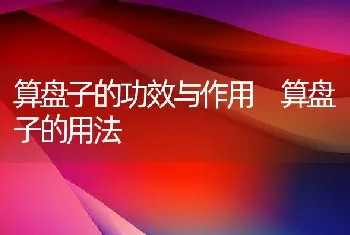 算盘子的功效与作用 算盘子的用法