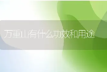 万重山有什么功效和用途