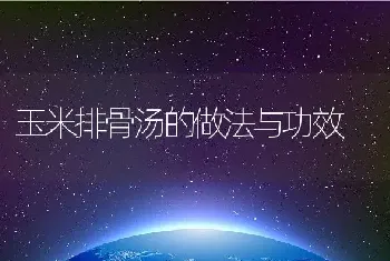 玉米排骨汤的做法与功效