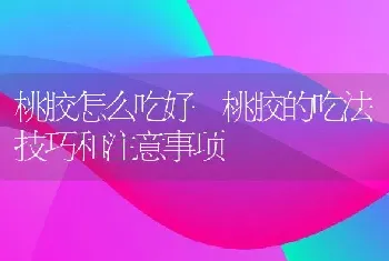 桃胶怎么吃好 桃胶的吃法技巧和注意事项