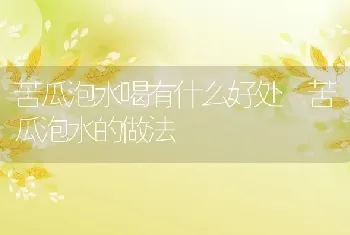 苦瓜泡水喝有什么好处 苦瓜泡水的做法