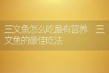 三文鱼怎么吃最有营养 三文鱼的最佳吃法