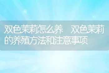 双色茉莉怎么养 双色茉莉的养殖方法和注意事项