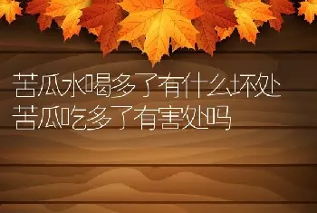 苦瓜水喝多了有什么坏处 苦瓜吃多了有害处吗