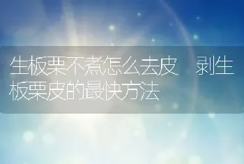 生板栗不煮怎么去皮 剥生板栗皮的最快方法