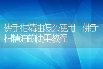 佛手柑精油怎么使用 佛手柑精油的使用教程