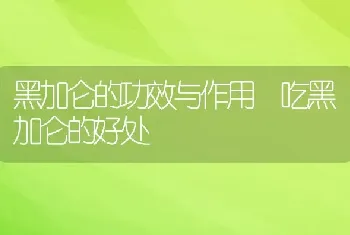 黑加仑的功效与作用 吃黑加仑的好处