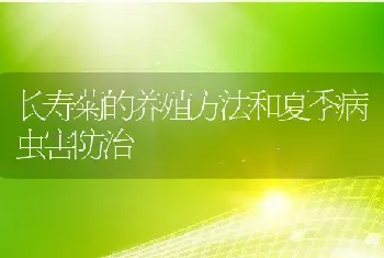 长寿菊的养殖方法和夏季病虫害防治