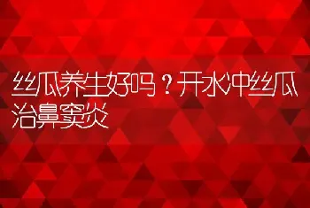 丝瓜养生好吗？开水冲丝瓜治鼻窦炎