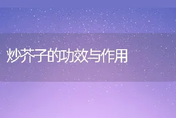 炒芥子的功效与作用