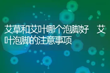 艾草和艾叶哪个泡脚好 艾叶泡脚的注意事项