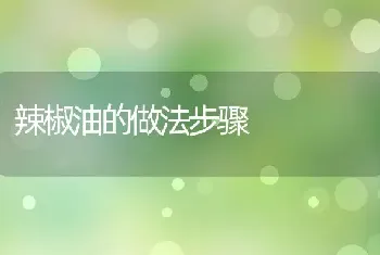 辣椒油的做法步骤