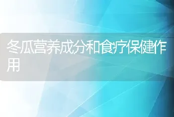 冬瓜营养成分和食疗保健作用