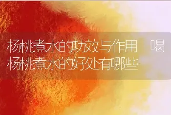 杨桃煮水的功效与作用 喝杨桃煮水的好处有哪些