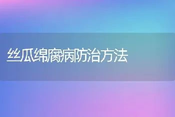 丝瓜绵腐病防治方法