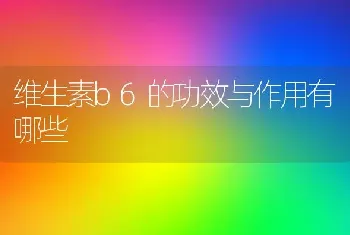 维生素b6的功效与作用有哪些