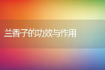 兰香子的功效与作用