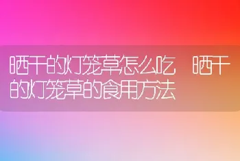 晒干的灯笼草怎么吃 晒干的灯笼草的食用方法