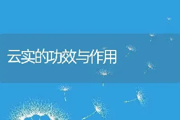 云实的功效与作用