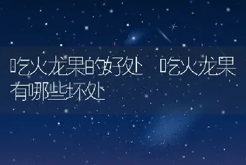 吃火龙果的好处 吃火龙果有哪些坏处