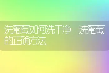 洗葡萄如何洗干净 洗葡萄的正确方法