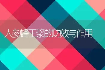 人参蜂王浆的功效与作用