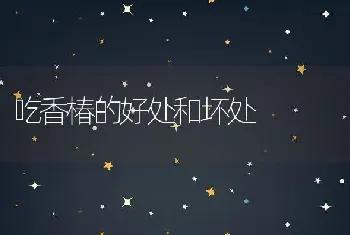 吃香椿的好处和坏处