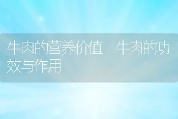 牛肉的营养价值 牛肉的功效与作用