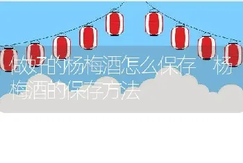 做好的杨梅酒怎么保存 杨梅酒的保存方法