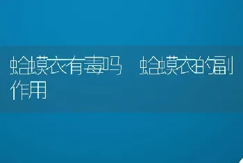 蛤蟆衣有毒吗 蛤蟆衣的副作用