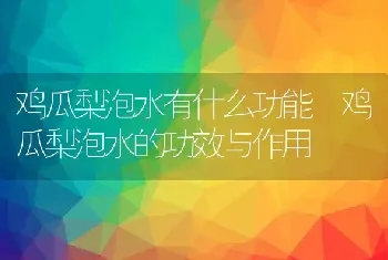 鸡瓜梨泡水有什么功能 鸡瓜梨泡水的功效与作用