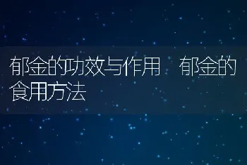 郁金的功效与作用 郁金的食用方法