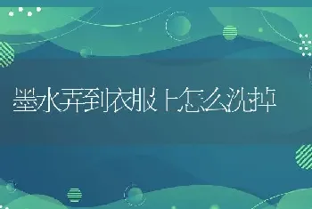 墨水弄到衣服上怎么洗掉