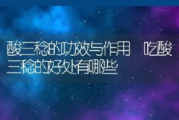 酸三稔的功效与作用 吃酸三稔的好处有哪些