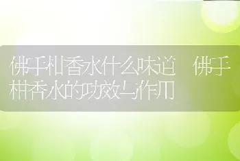 佛手柑香水什么味道 佛手柑香水的功效与作用