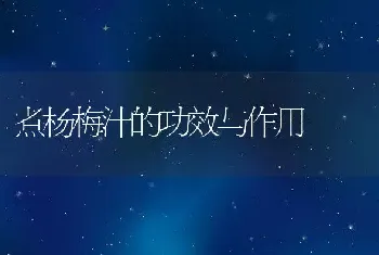 煮杨梅汁的功效与作用