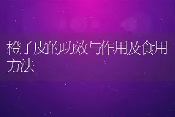 橙子皮的功效与作用及食用方法