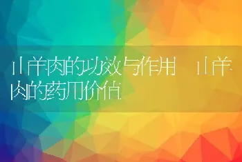 山羊肉的功效与作用 山羊肉的药用价值