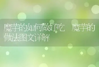 魔芋的如何做好吃 魔芋的做法图文详解