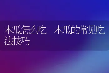 木瓜怎么吃 木瓜的常见吃法技巧