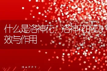 什么是洛神花 洛神花的功效与作用