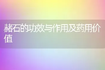 赭石的功效与作用及药用价值