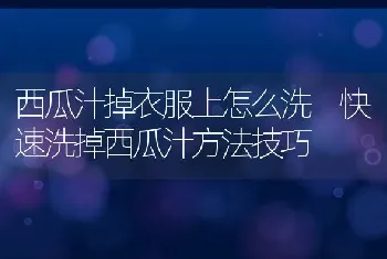 西瓜汁掉衣服上怎么洗 快速洗掉西瓜汁方法技巧