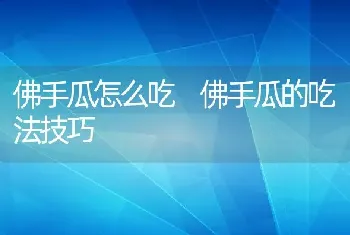 佛手瓜怎么吃 佛手瓜的吃法技巧