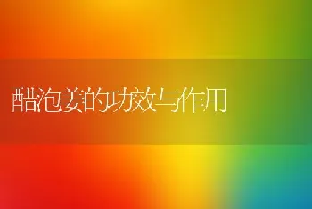 醋泡姜的功效与作用