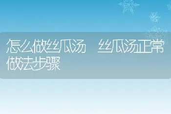 怎么做丝瓜汤 丝瓜汤正常做法步骤